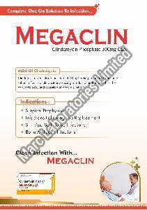 MEGACLIN-300