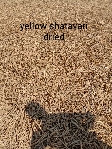 Dried Yellow Shatavari Roots