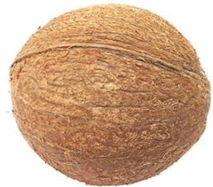 Fully Husked Coconut