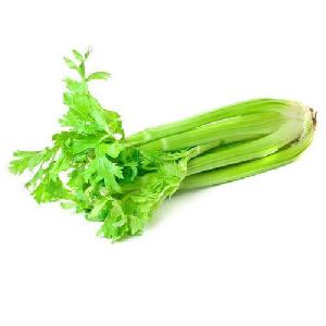 Fresh Celery