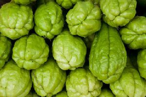 Fresh Chayote