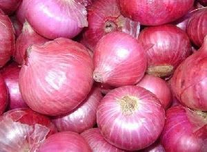 Fresh Pink Onion