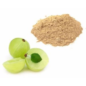 Amla Powder