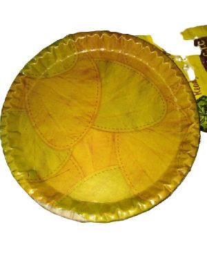 Disposable Paper Plates