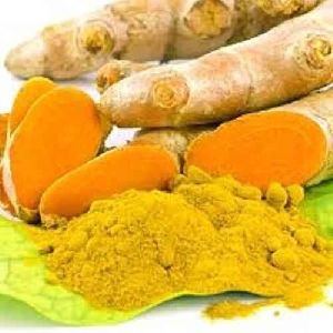 Curcuma Longa Extract