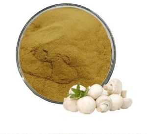 Spray dried Button Mushroom Powder