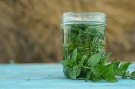 Spearmint leaves extract