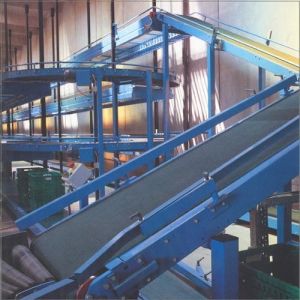 Motorized Conveyor System