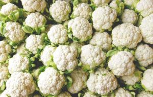 Fresh Cauliflower