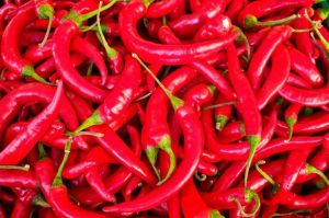 Fresh Red Chilli