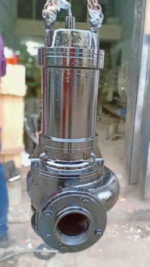 Sludge Slurry Pump