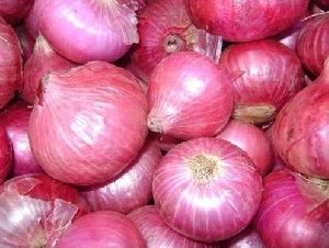 Pink Onion