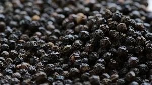 Black Pepper Seeds