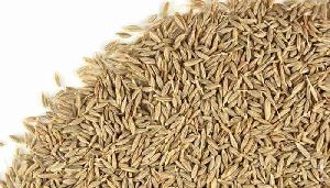 Cumin Seeds