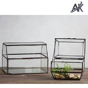 glass terrarium