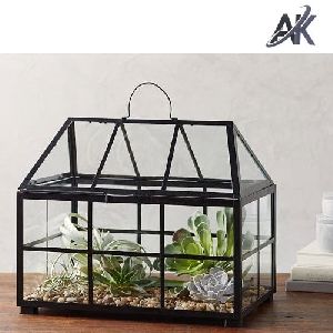 glass terrariums