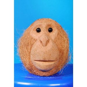 Coconut Shell Monkey Face