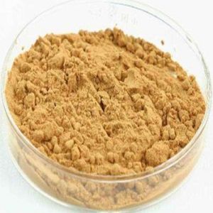 Cafeine Powder