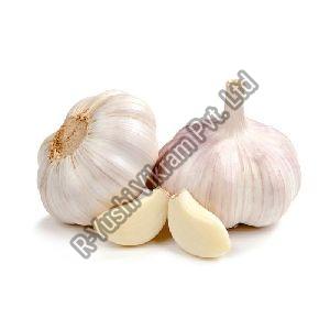 Fresh Garlic