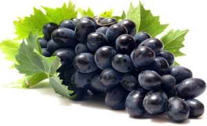 Fresh Black Grapes