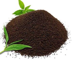 black tea powder