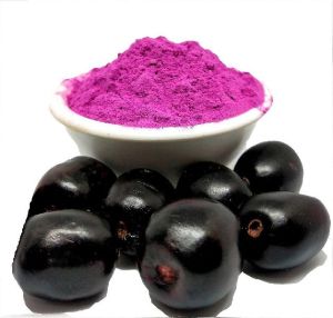 Java Plum Fruit Powder