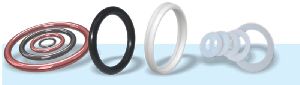 Mechanical Seal O Ring