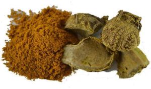 Amba Haldi Extract