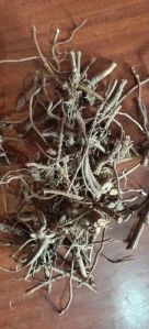 Chitrak Root