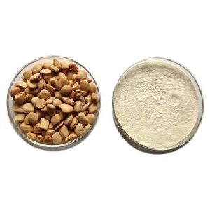 Tamarind Seed Powder