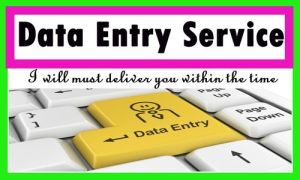 good returns data entry services