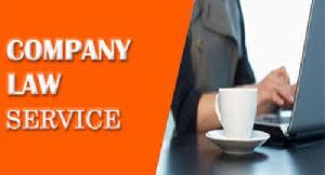 Company Law Consultancy Service