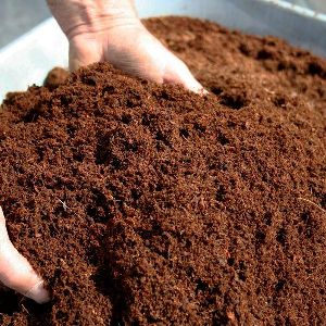 Cocopeat Loose