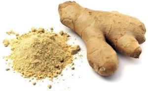 Dehydrated Ginger Powder