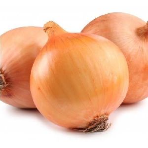 Sweet Onion