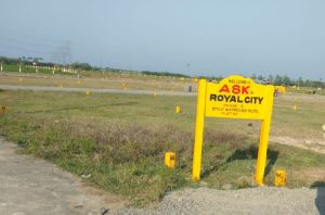 Residential Plots