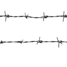 Iron Barbed Wire