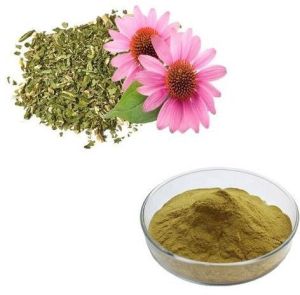 Echinacea Extract