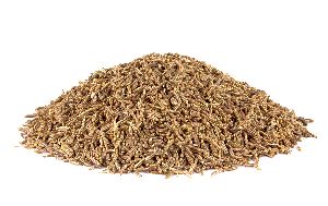 white cumin seeds