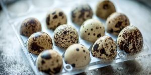 Quail Egg