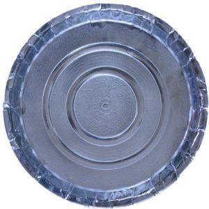 disposable paper plate