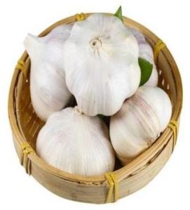 Fresh Garlic