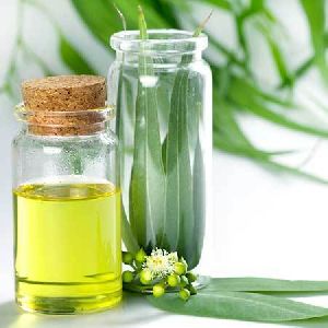 pure eucalyptus oil