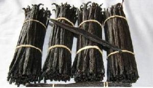 Vanilla Beans