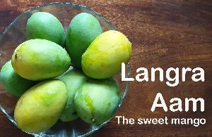 Langra Mango