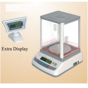 Precision Digital Scale