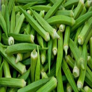 Okra