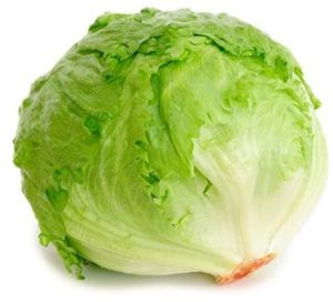 Fresh Lettuce