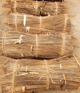 Coconut Broom Stick