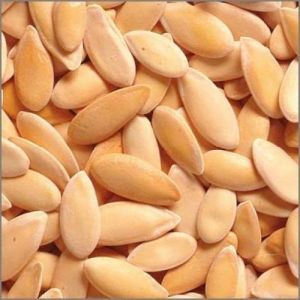 muskmelon seed